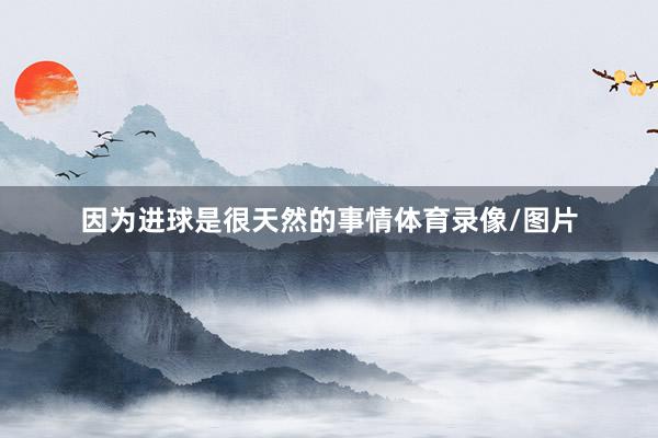 因为进球是很天然的事情体育录像/图片
