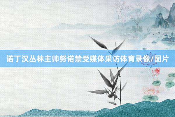 诺丁汉丛林主帅努诺禁受媒体采访体育录像/图片