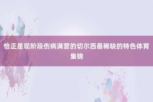 恰正是现阶段伤病满营的切尔西最稀缺的特色体育集锦