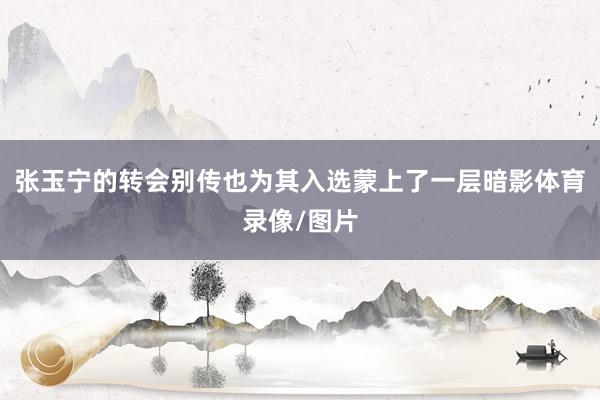 张玉宁的转会别传也为其入选蒙上了一层暗影体育录像/图片