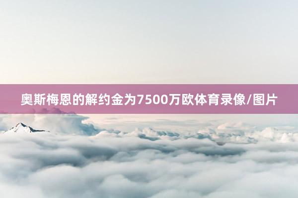 奥斯梅恩的解约金为7500万欧体育录像/图片