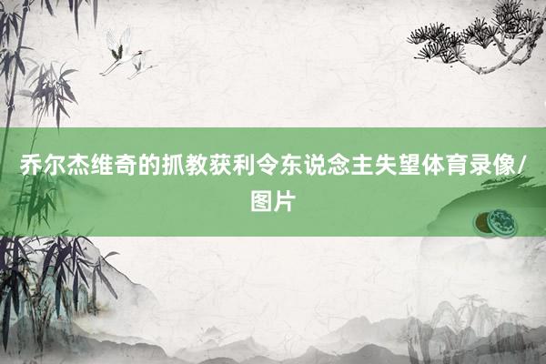 乔尔杰维奇的抓教获利令东说念主失望体育录像/图片