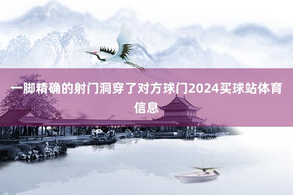 一脚精确的射门洞穿了对方球门2024买球站体育信息