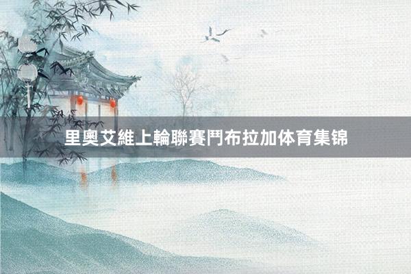 里奧艾維上輪聯賽鬥布拉加体育集锦