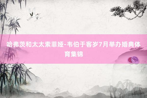 哈弗茨和太太索菲娅-韦伯于客岁7月举办婚典体育集锦