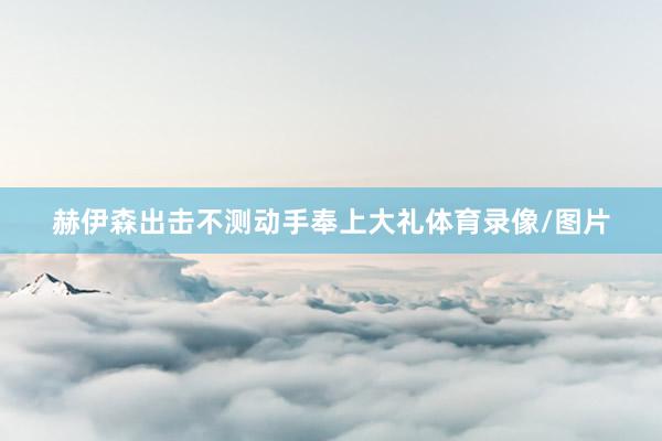 赫伊森出击不测动手奉上大礼体育录像/图片