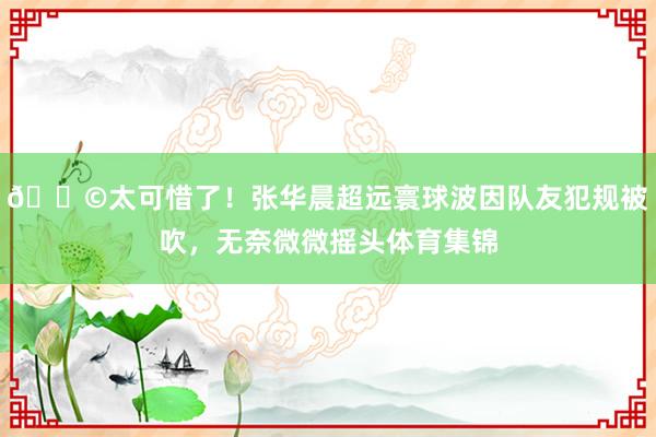 😩太可惜了！张华晨超远寰球波因队友犯规被吹，无奈微微摇头体育集锦
