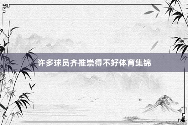 许多球员齐推崇得不好体育集锦