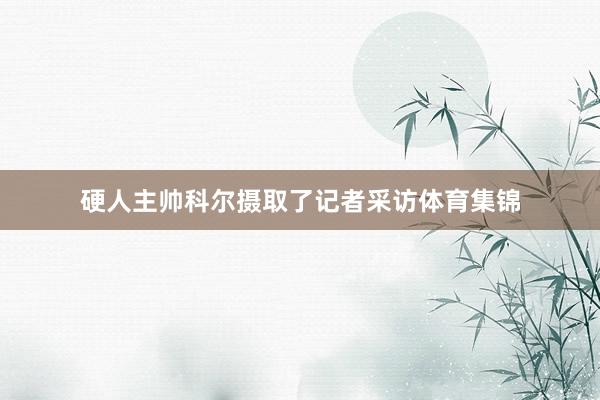 硬人主帅科尔摄取了记者采访体育集锦