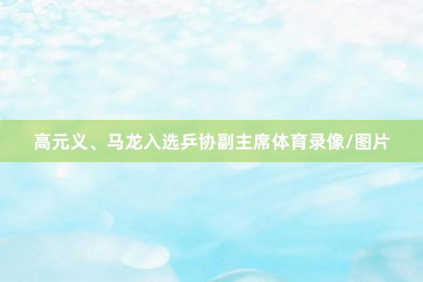 高元义、马龙入选乒协副主席体育录像/图片