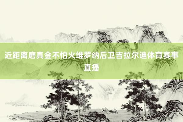 近距离磨真金不怕火维罗纳后卫吉拉尔迪体育赛事直播