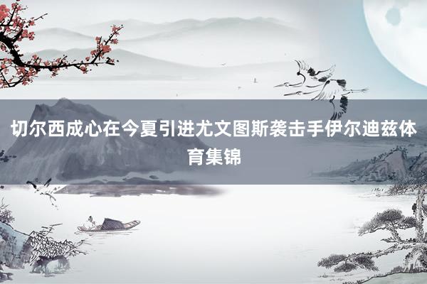 切尔西成心在今夏引进尤文图斯袭击手伊尔迪兹体育集锦