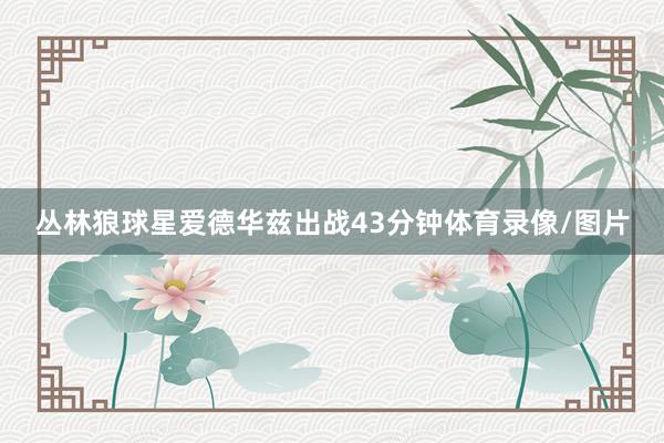 丛林狼球星爱德华兹出战43分钟体育录像/图片