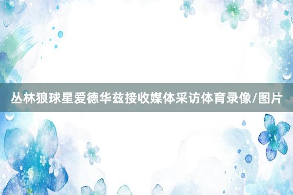 丛林狼球星爱德华兹接收媒体采访体育录像/图片