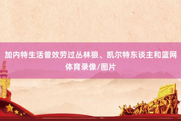 加内特生活曾效劳过丛林狼、凯尔特东谈主和篮网体育录像/图片