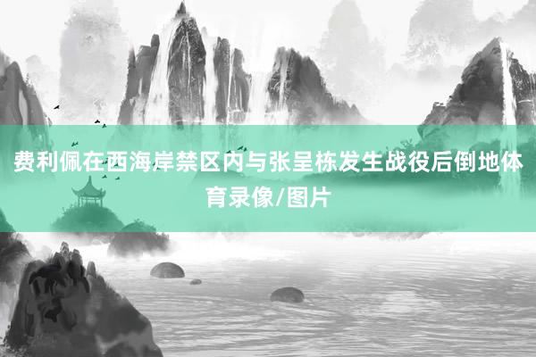 费利佩在西海岸禁区内与张呈栋发生战役后倒地体育录像/图片
