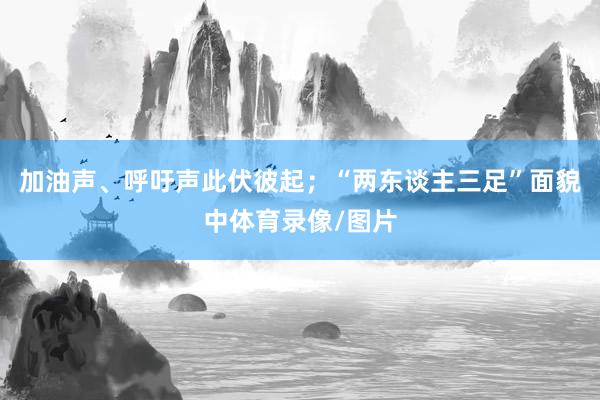 加油声、呼吁声此伏彼起；“两东谈主三足”面貌中体育录像/图片