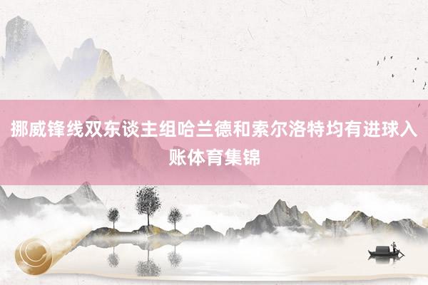 挪威锋线双东谈主组哈兰德和索尔洛特均有进球入账体育集锦