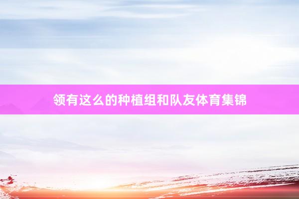 领有这么的种植组和队友体育集锦