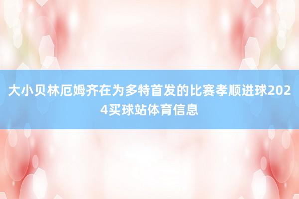 大小贝林厄姆齐在为多特首发的比赛孝顺进球2024买球站体育信息