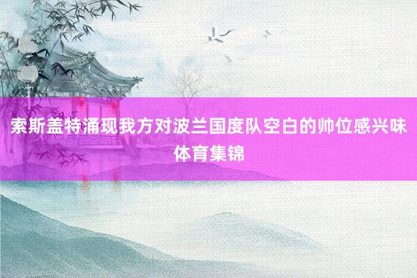 索斯盖特涌现我方对波兰国度队空白的帅位感兴味体育集锦