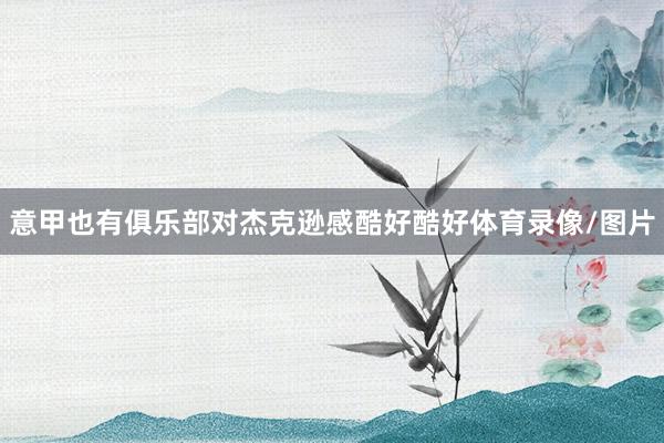 意甲也有俱乐部对杰克逊感酷好酷好体育录像/图片