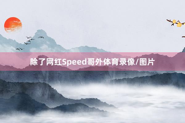 除了网红Speed哥外体育录像/图片