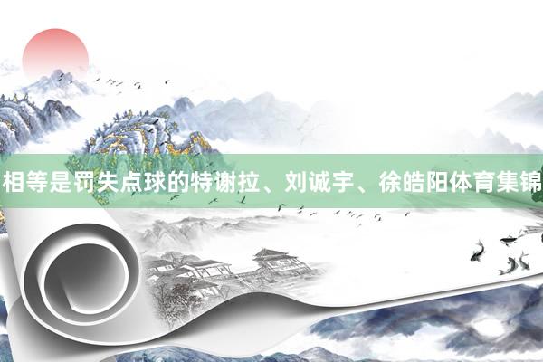 相等是罚失点球的特谢拉、刘诚宇、徐皓阳体育集锦