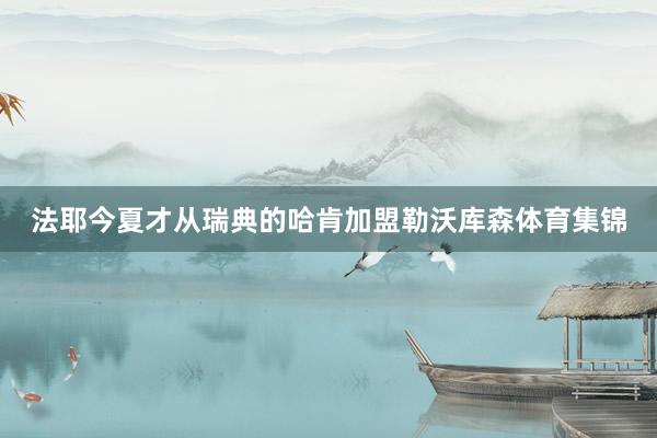 法耶今夏才从瑞典的哈肯加盟勒沃库森体育集锦