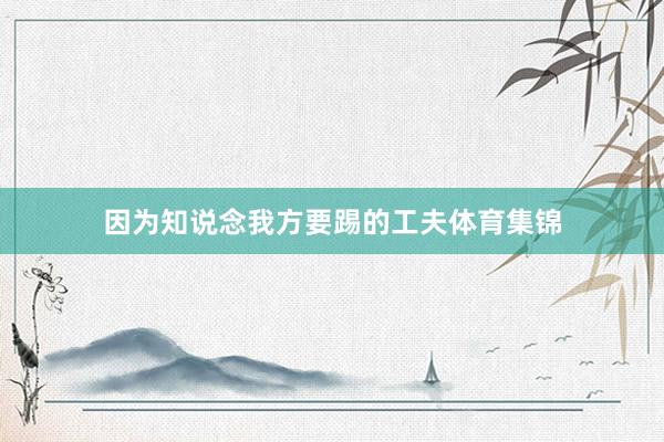 因为知说念我方要踢的工夫体育集锦