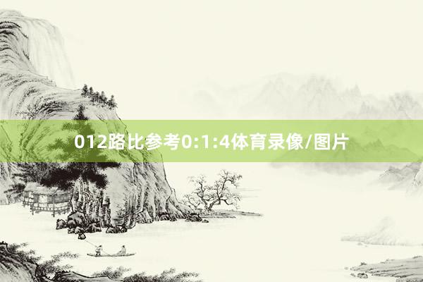 012路比参考0:1:4体育录像/图片