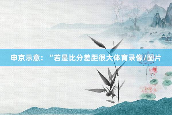 申京示意：“若是比分差距很大体育录像/图片