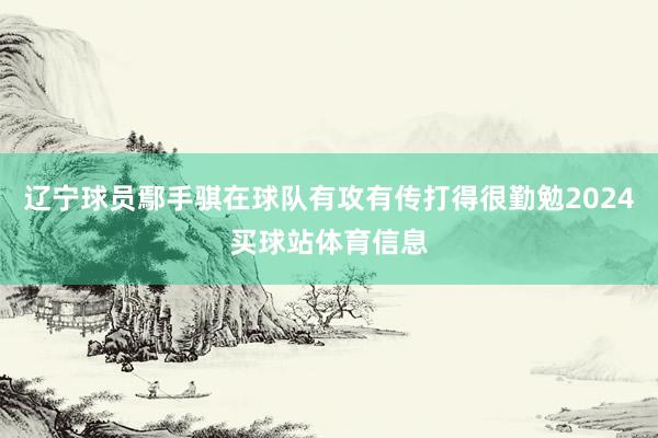辽宁球员鄢手骐在球队有攻有传打得很勤勉2024买球站体育信息