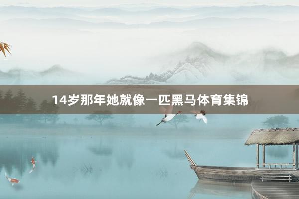 14岁那年她就像一匹黑马体育集锦