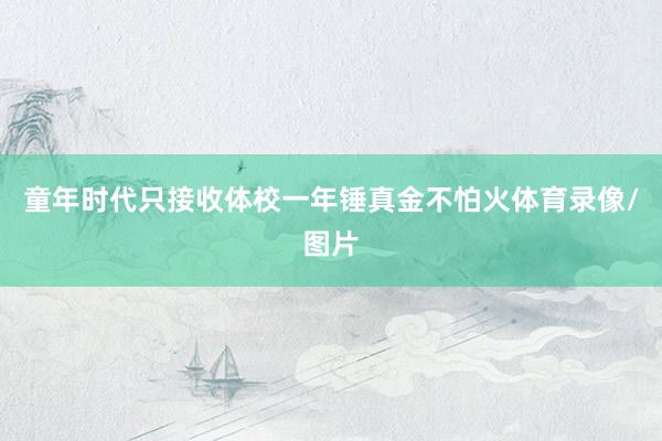 童年时代只接收体校一年锤真金不怕火体育录像/图片