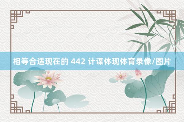 相等合适现在的 442 计谋体现体育录像/图片
