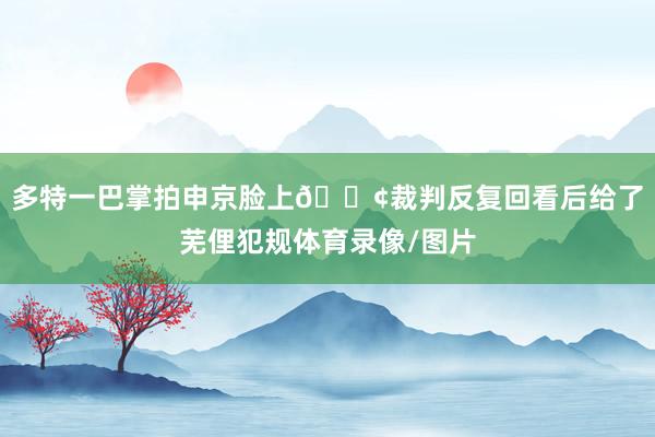多特一巴掌拍申京脸上😢裁判反复回看后给了芜俚犯规体育录像/图片