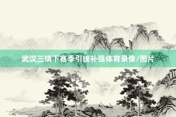武汉三镇下赛季引援补强体育录像/图片