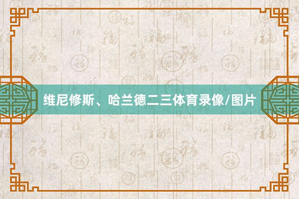 维尼修斯、哈兰德二三体育录像/图片
