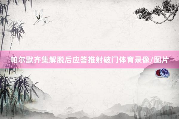 帕尔默齐集解脱后应答推射破门体育录像/图片