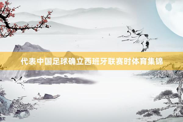 代表中国足球确立西班牙联赛时体育集锦