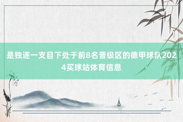 是独逐一支目下处于前8名晋级区的德甲球队2024买球站体育信息