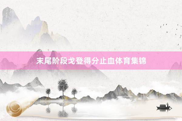 末尾阶段戈登得分止血体育集锦