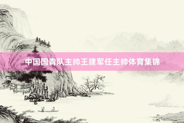 中国国青队主帅王建军任主帅体育集锦