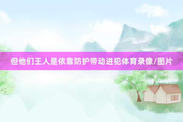 但他们王人是依靠防护带动进犯体育录像/图片