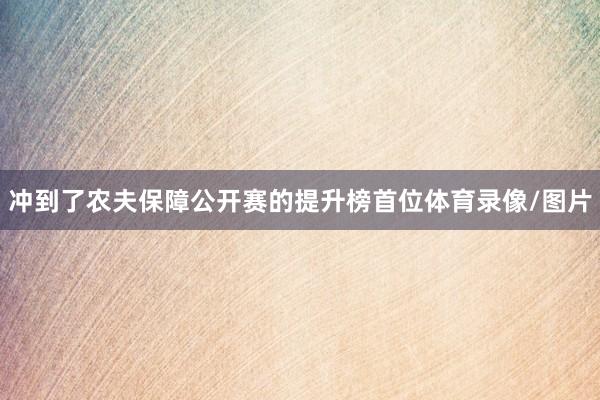 冲到了农夫保障公开赛的提升榜首位体育录像/图片