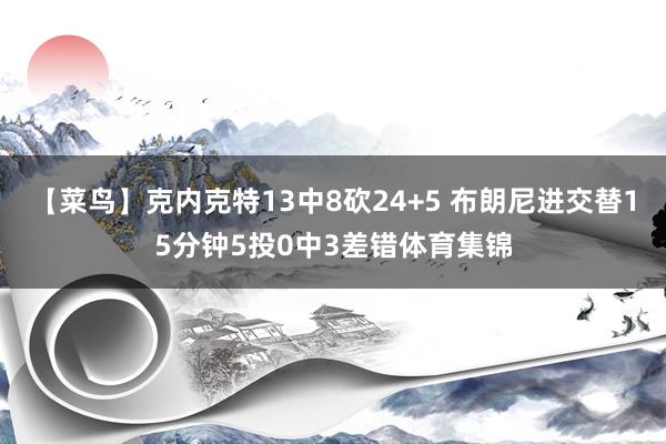 【菜鸟】克内克特13中8砍24+5 布朗尼进交替15分钟5投0中3差错体育集锦