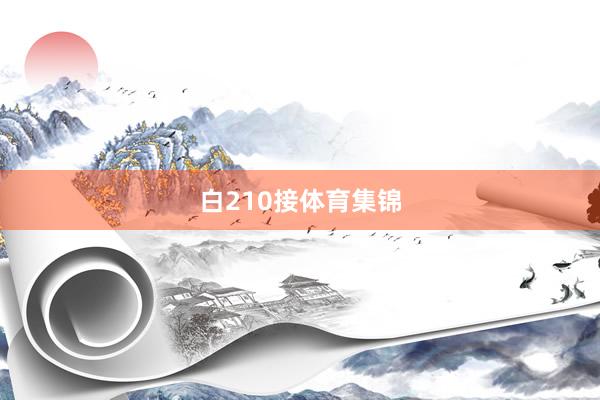 白210接体育集锦